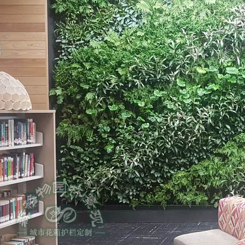 學(xué)校圖書館植物墻