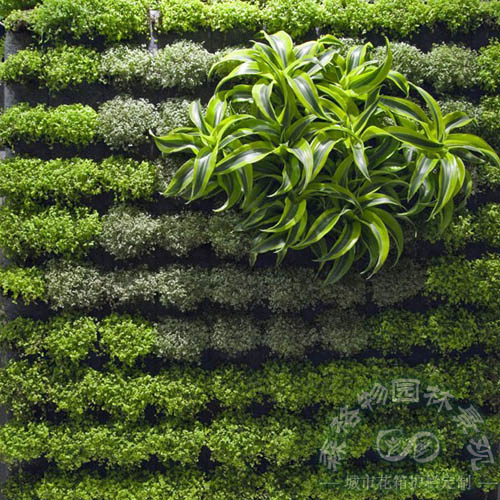 可移動室內(nèi)垂直綠植墻