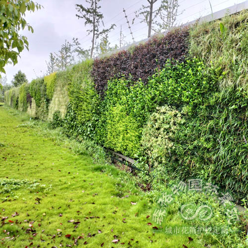 戶外大型垂直綠化墻