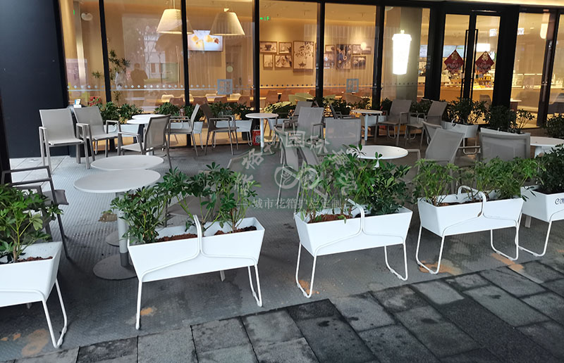 河南花箱案例：嘉興商業(yè)街花箱花架隔斷案例