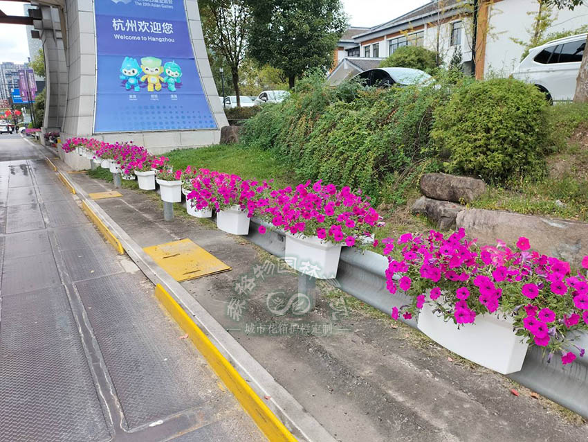 杭州高速入口波形護(hù)欄馬鞍花盆案例