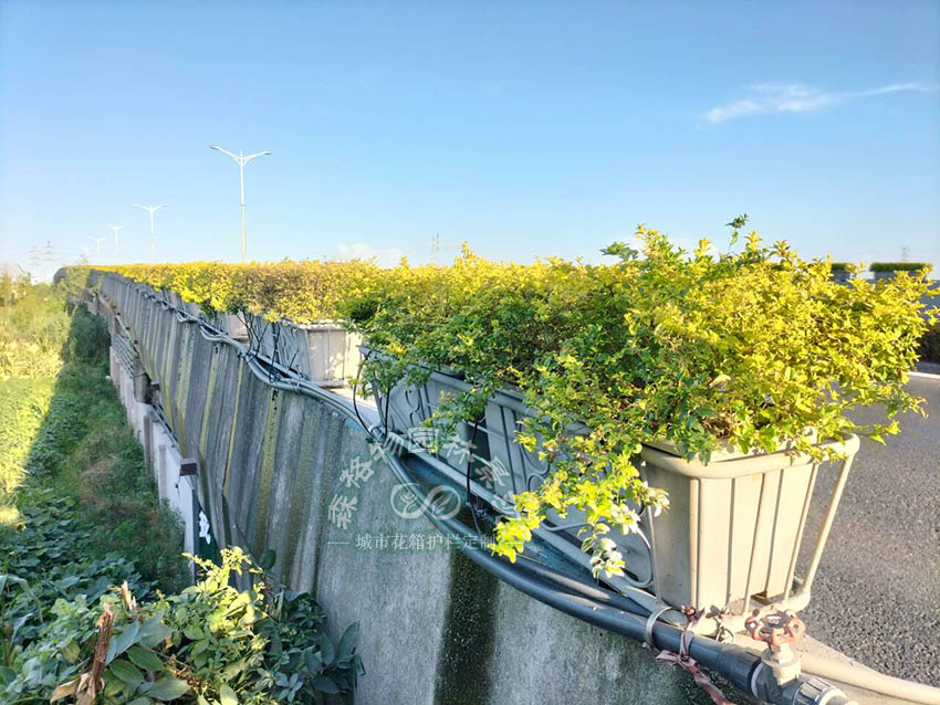 浙江新安高架橋橋墩花架子PP花盆組合安裝固定案例