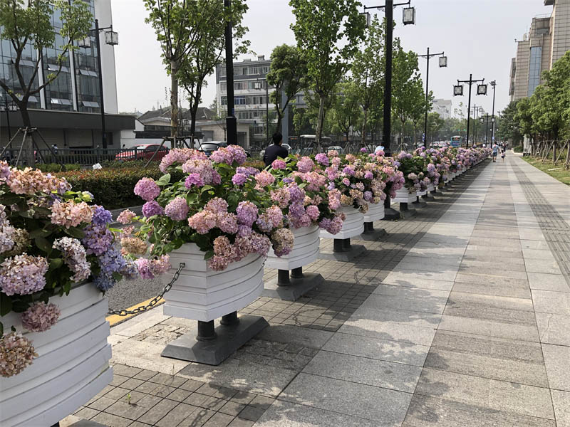 市政pvc花箱應(yīng)用越來(lái)越廣泛了，森格物pvc花箱訂單越來(lái)越多