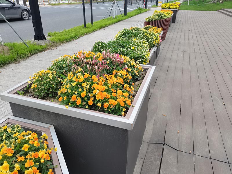 適合戶外花箱的植物 花箱種什么花好看又實用