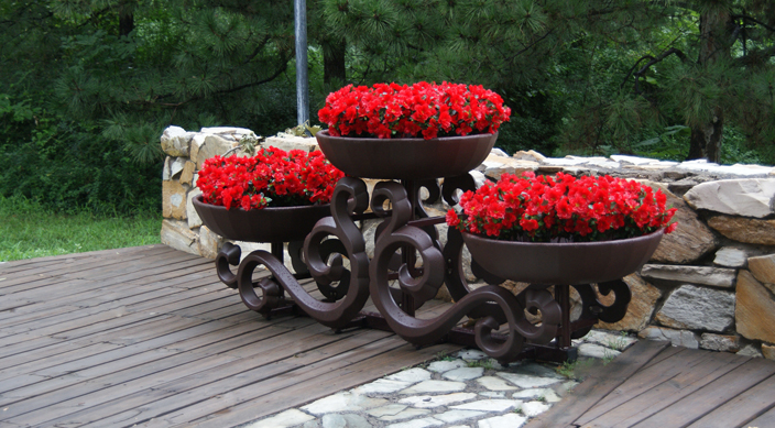 2021年新花架實現(xiàn)垂直綠化，占地少，覆蓋面大！