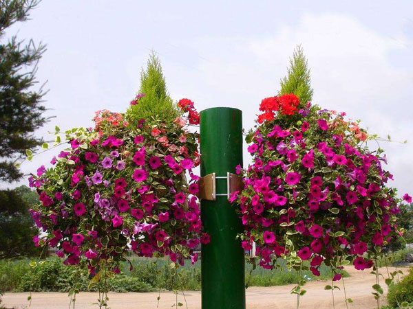 燈桿花盆新型花盆的優(yōu)點是什么