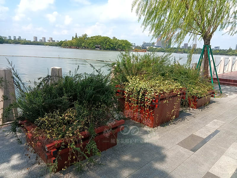 道路花箱護(hù)欄種什么植物？