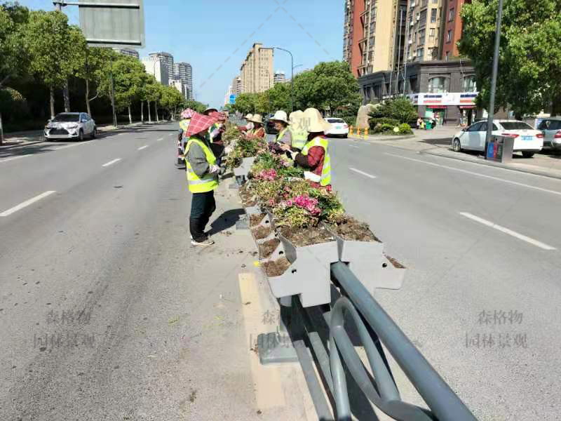 浙江嘉興三公里馬鞍護(hù)欄花箱