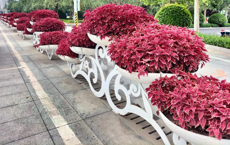 山東濟(jì)南戶外小型花架案例
