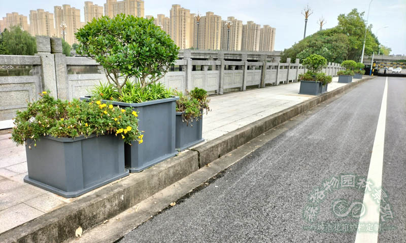 橋梁樹圍花箱案例