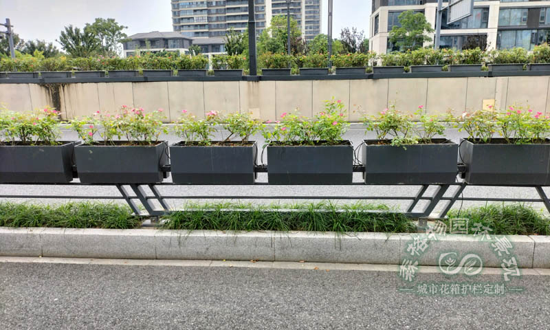 道路自動(dòng)噴淋裝置馬鞍花箱案例