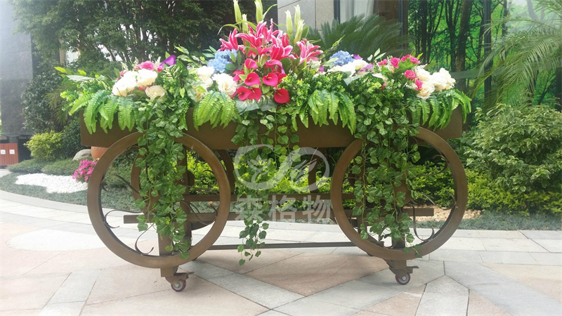 家用室內(nèi)花箱適合種植什么花？ 