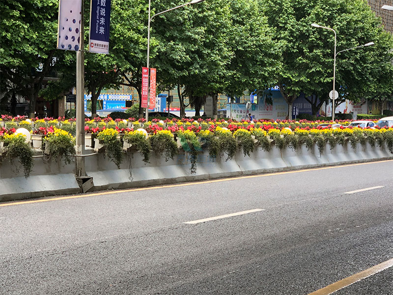 高架橋梁花箱怎么選擇綠植？