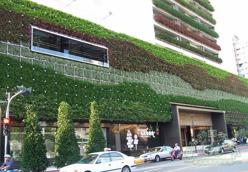 墻體垂直綠化植物的作用