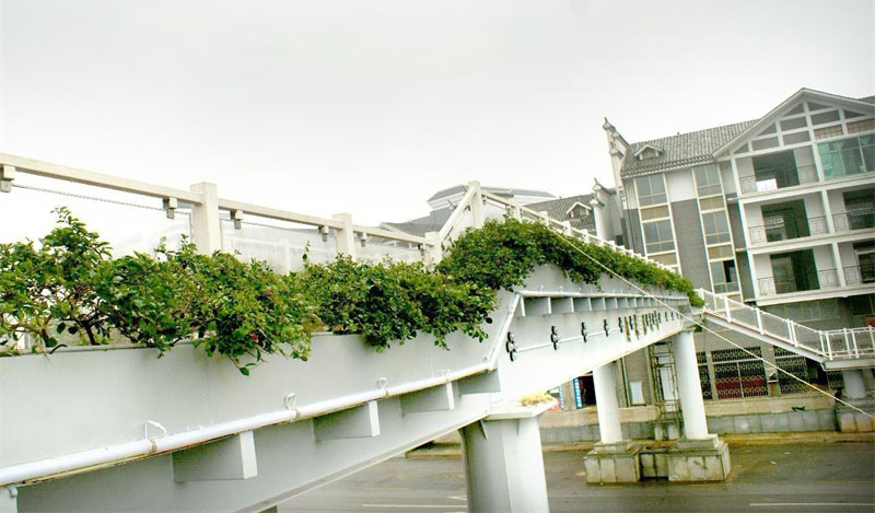 玻璃鋼花箱—森格物向您科普玻璃鋼花箱的小知識 玻璃鋼花箱—森格物向您科普玻璃鋼花箱的小知識